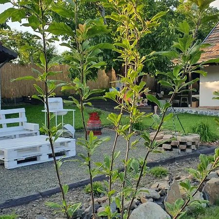 Apartamento Várlak Hollőkőn