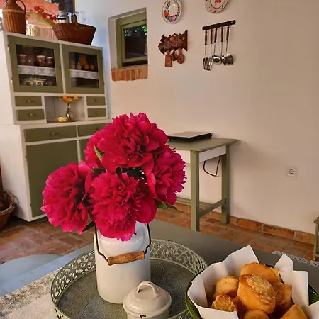 Apartman Varlak Hollokon Vendeghaz