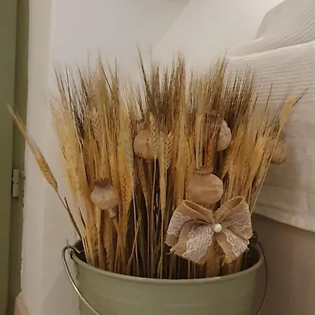 Várlak Hollőkőn Apartamento